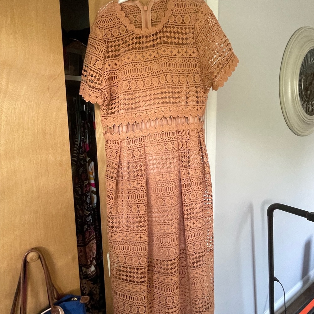 Beautiful lace Vici dress